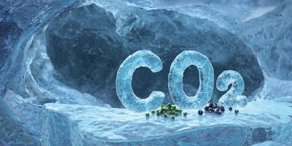 Rashlada pomoću CO2