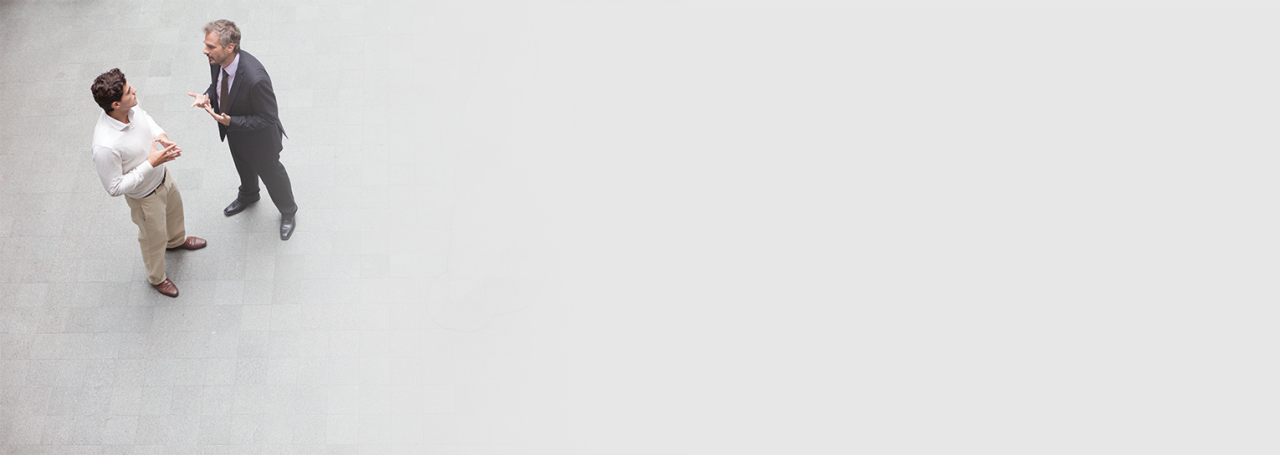 Fleksibilno partnerstvo